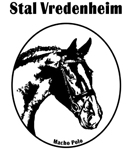 Stal-Vredenheim_150